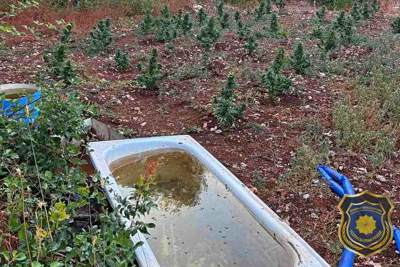 Neovlaštena proizvodnja opojnih droga