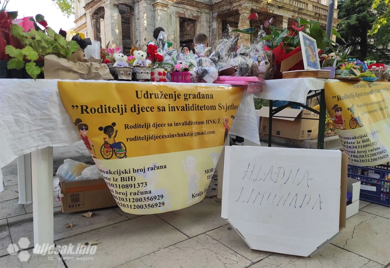 Udruženje građana roditelji djece s invaliditetom "Svjetlost"