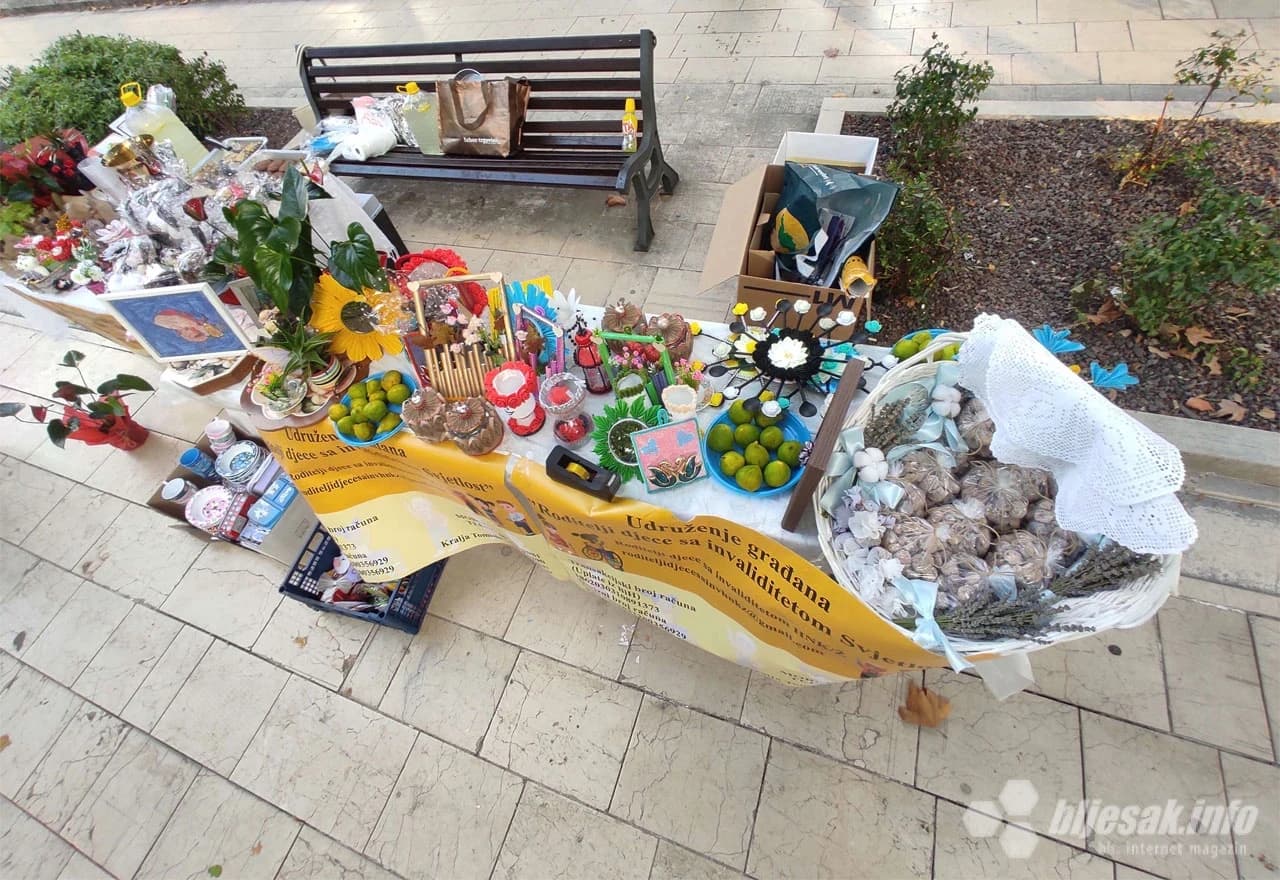 Udruženje građana roditelji djece s invaliditetom "Svjetlost"