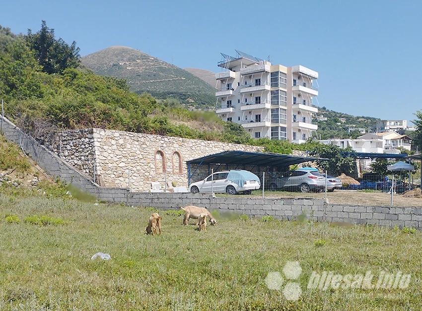 Koze mirno pasu iza hotela