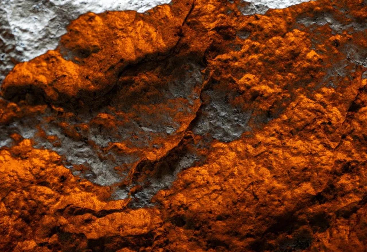 Od Marsa do Nigera: Impresivan meteorit bit će ponuđen kolekcionarima