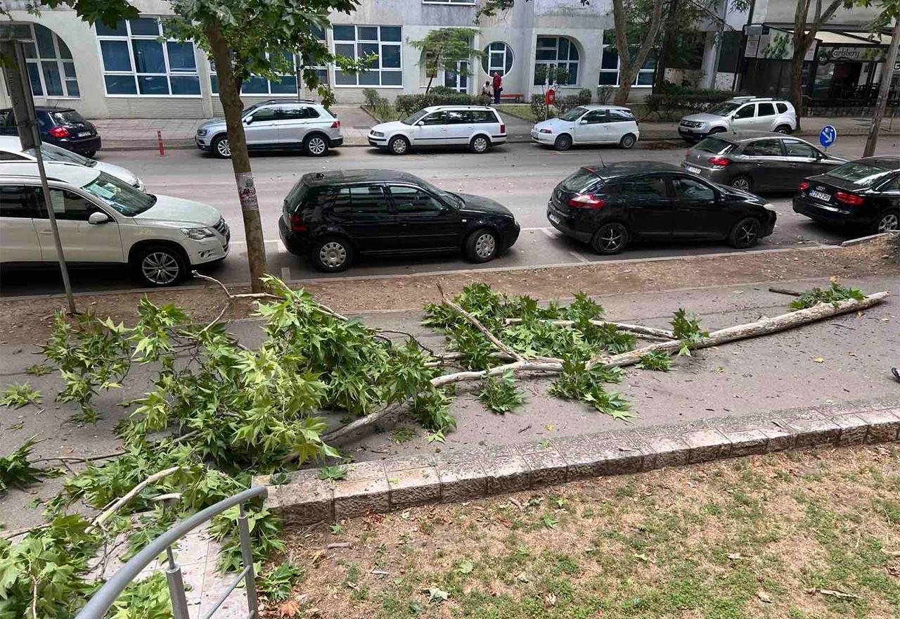 Pale grane sa stabla u Splitskoj ulici u Mostaru tijekom jakih udara vjetra