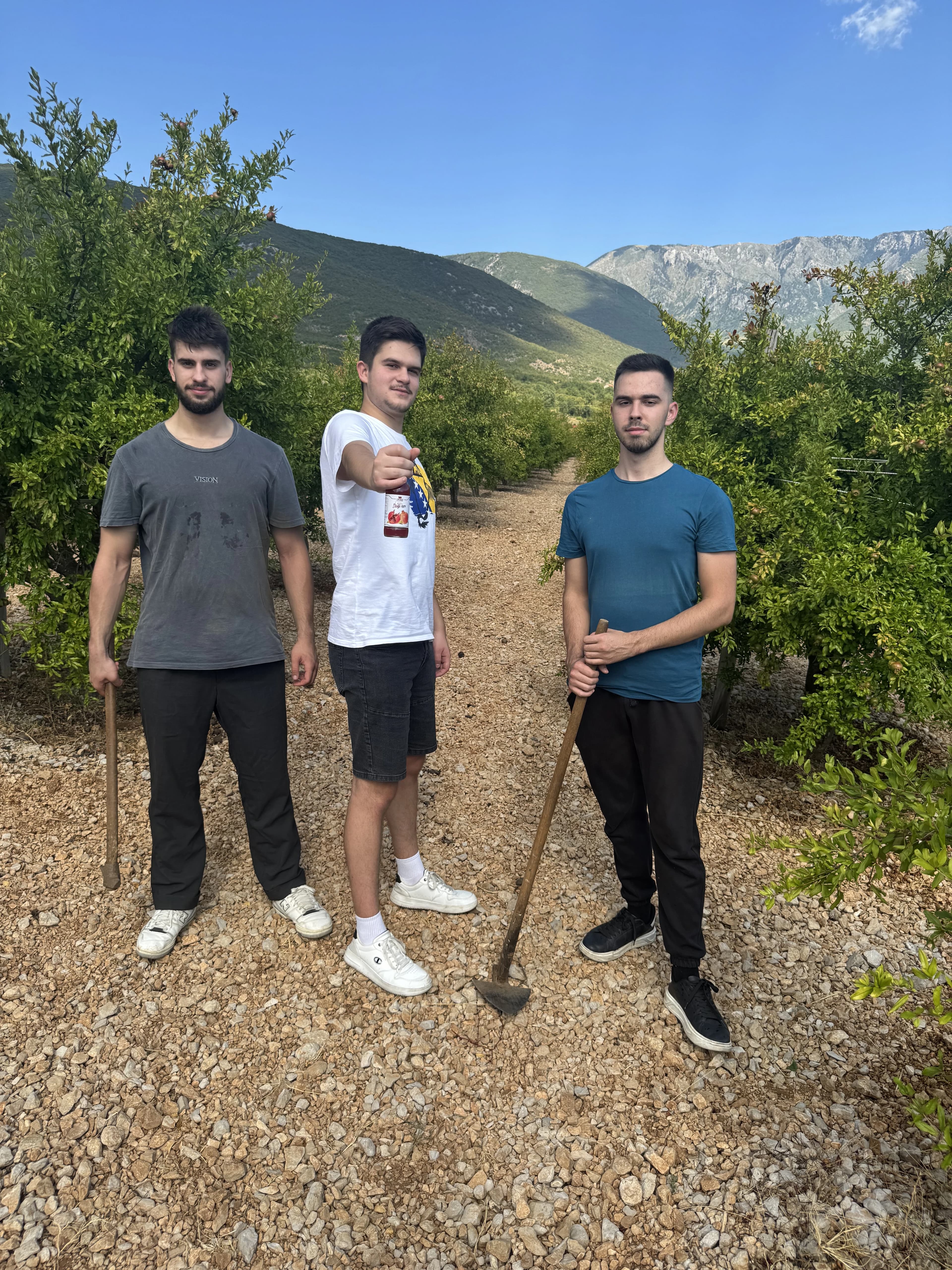 Fejsal Tipura na plantaži divljeg nara