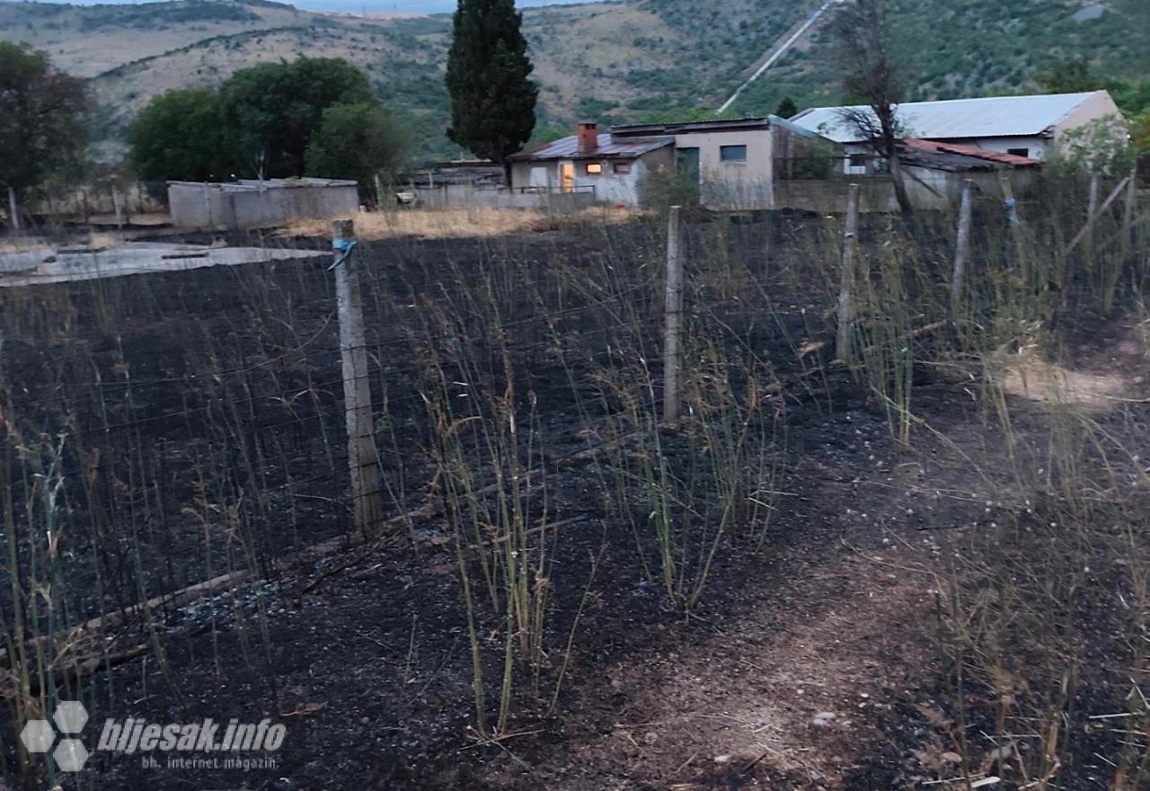 Izgorjelo 400 stabala trešnje i 100.000 sadnica smilja