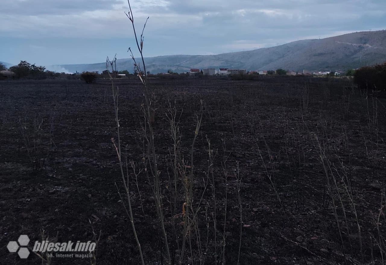 Izgorjelo 400 stabala trešnje i 100.000 sadnica smilja