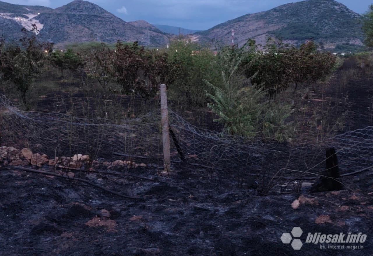 Izgorjelo 400 stabala trešnje i 100.000 sadnica smilja