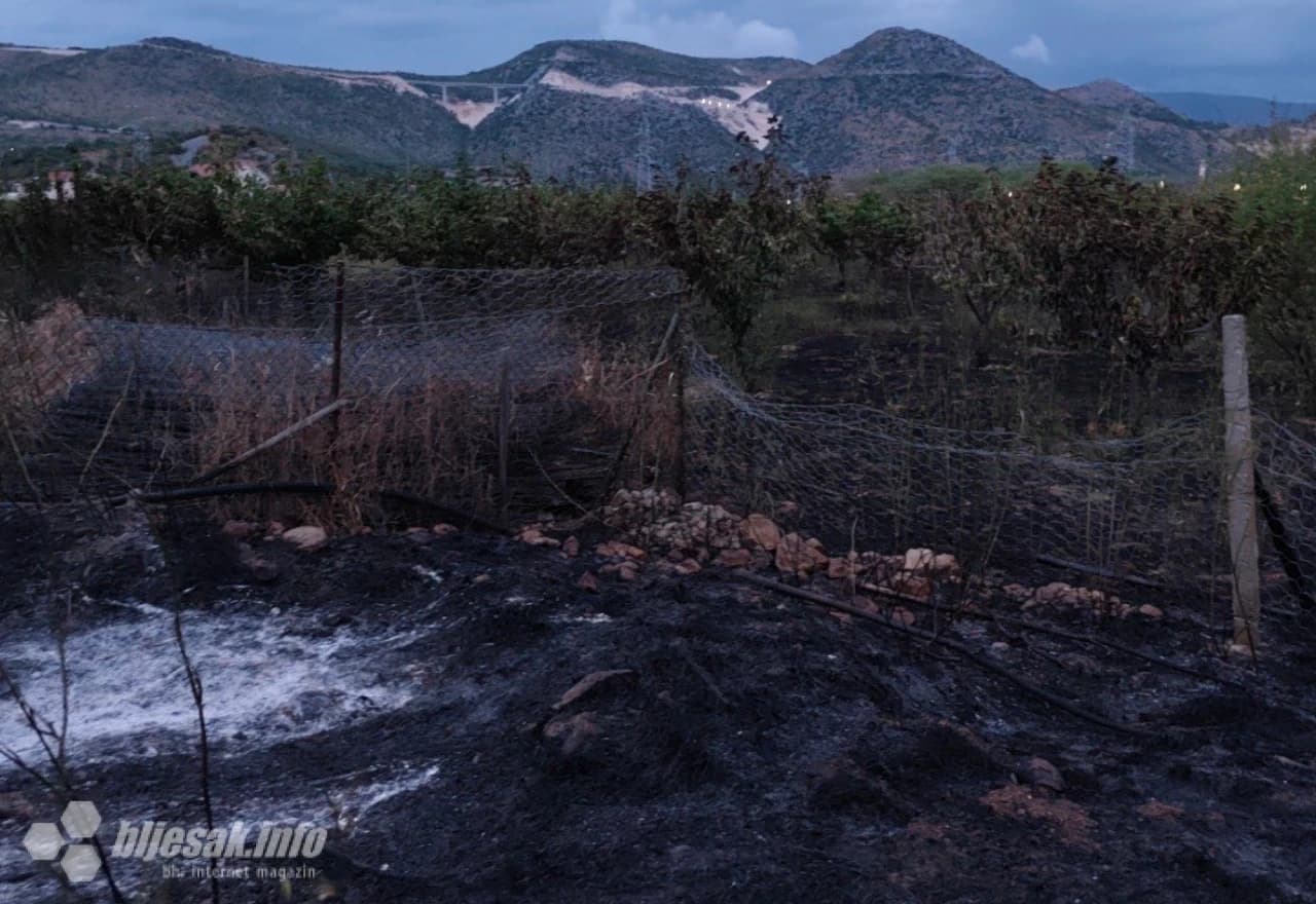 Izgorjelo 400 stabala trešnje i 100.000 sadnica smilja