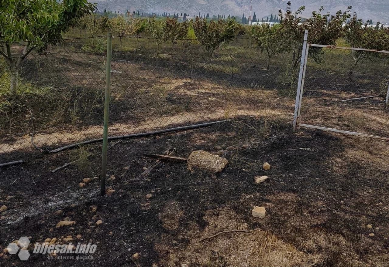 Izgorjelo 400 stabala trešnje i 100.000 sadnica smilja