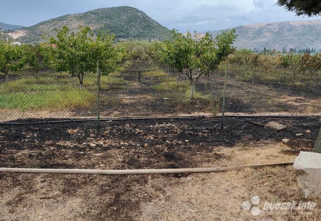 Izgorjelo 400 stabala trešnje i 100.000 sadnica smilja