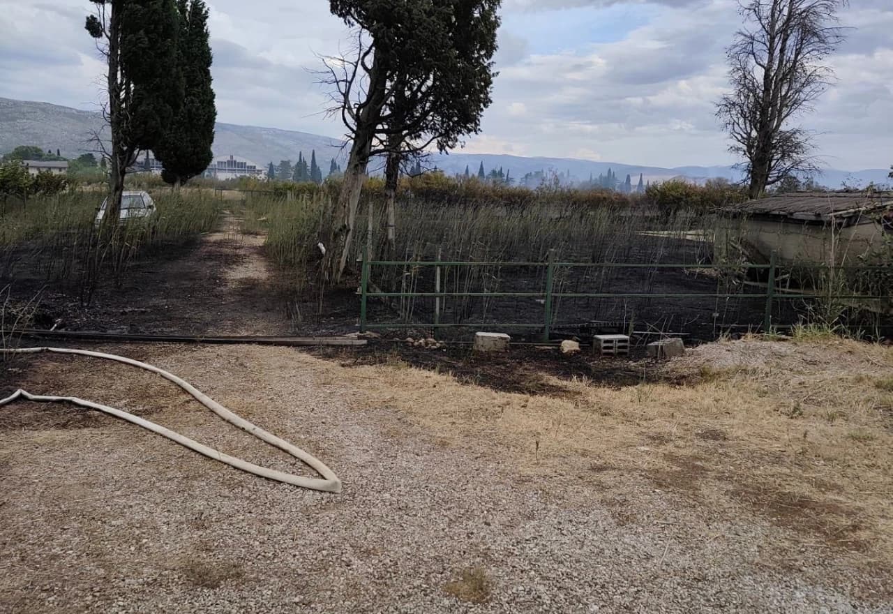 Izgorjelo 400 stabala trešnje i 100.000 sadnica smilja