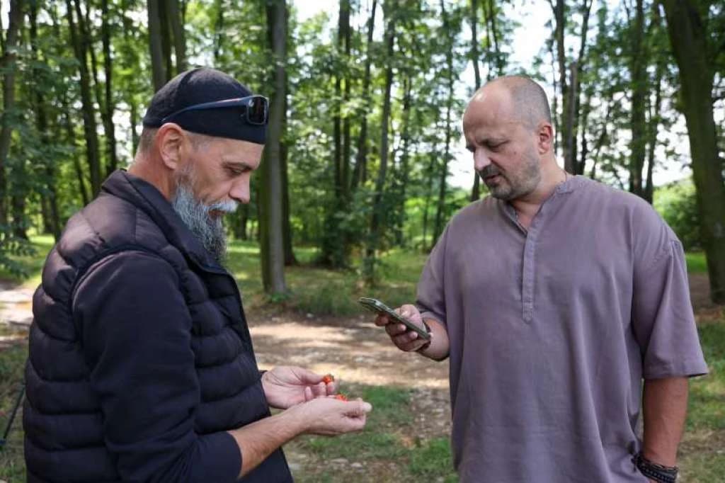 Revolucija na bh. poljima