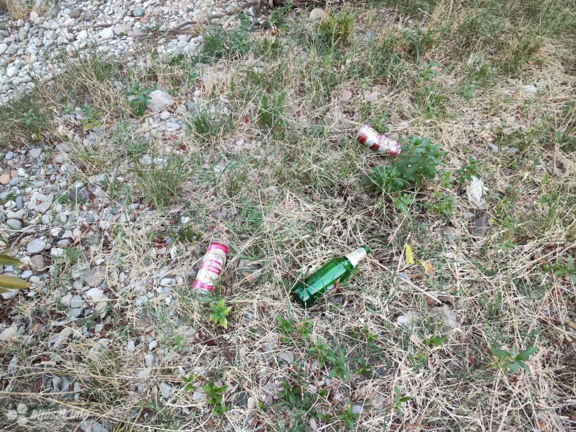 Od obiteljske oaze do neurednog kupališta