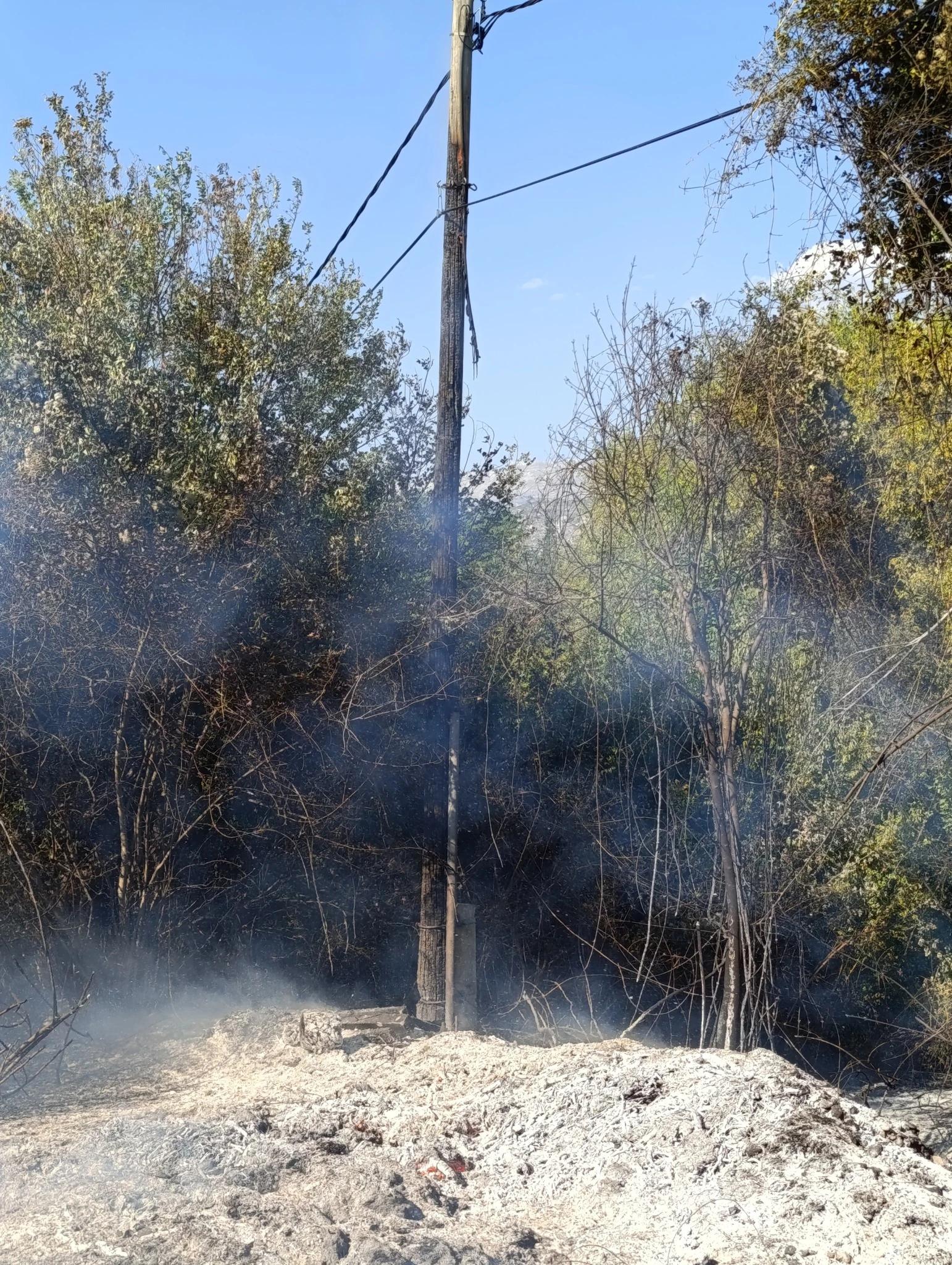 Požar se proširio na travu, nisko raslinje i električni stub