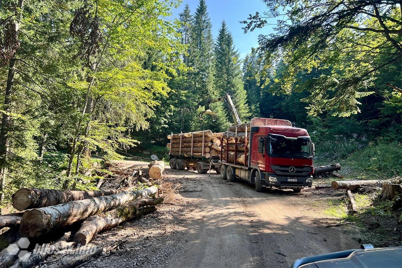 Putem prema vrhu susrećemo brojne radnike šumarije