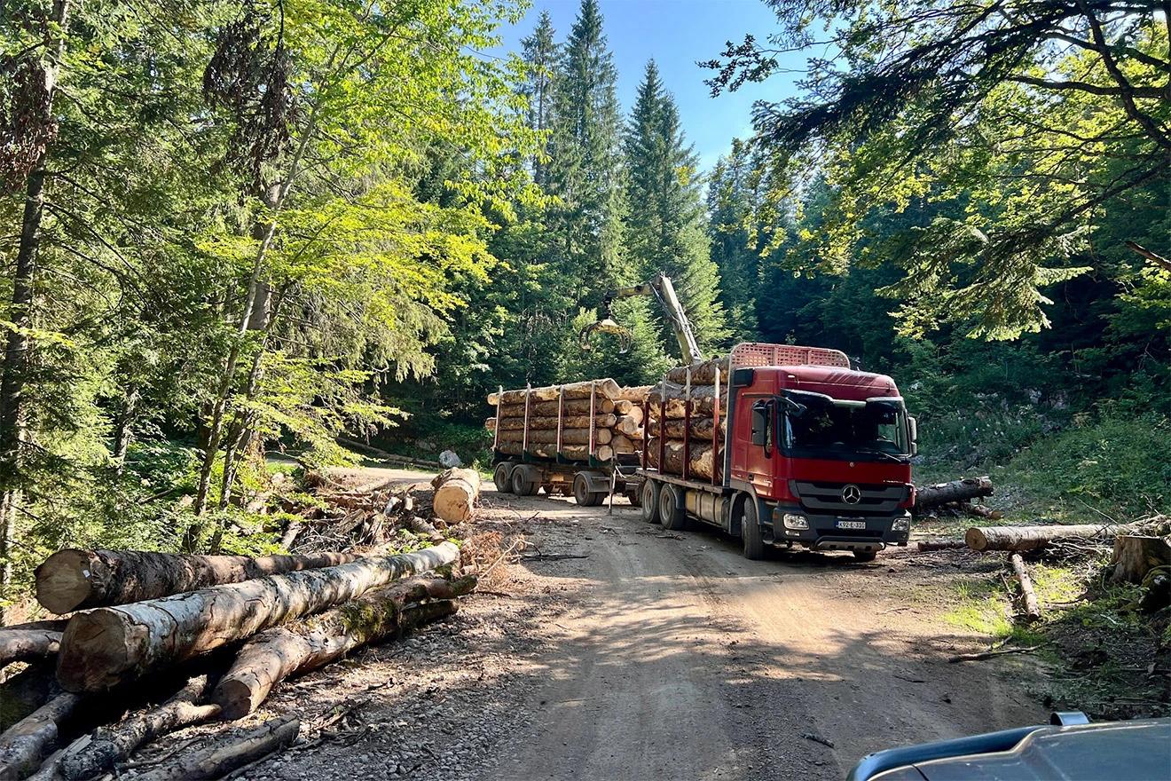 Putem prema vrhu susrećemo brojne radnike šumarije
