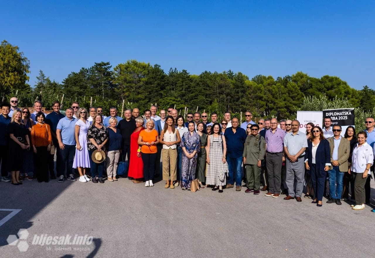 Diplomatska berba grožđa