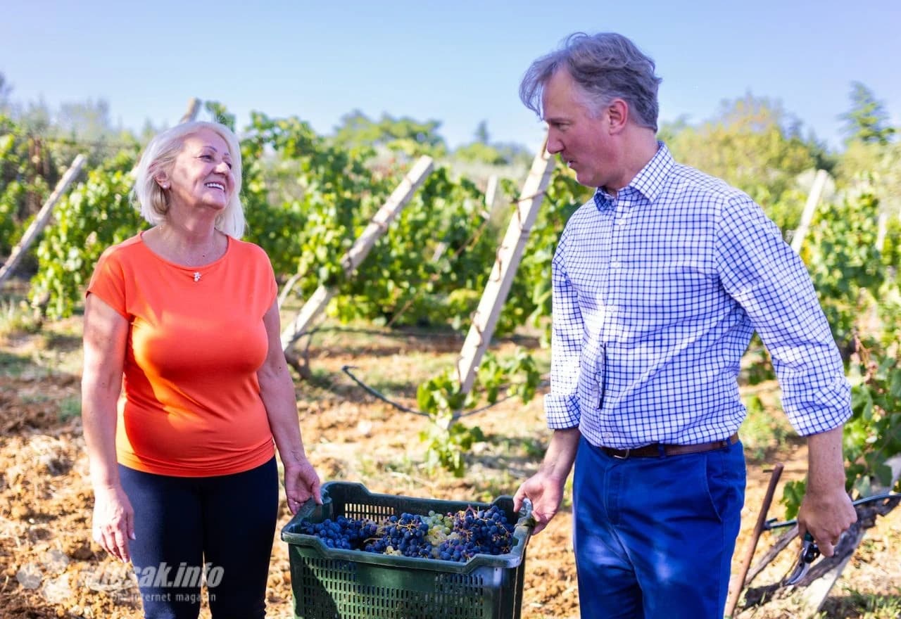 Diplomatska berba grožđa