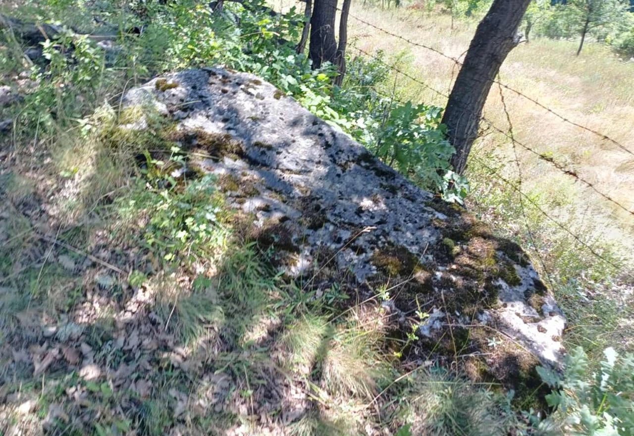 Novo otkriće u Borovskom: Nekropola stećaka Prljuge