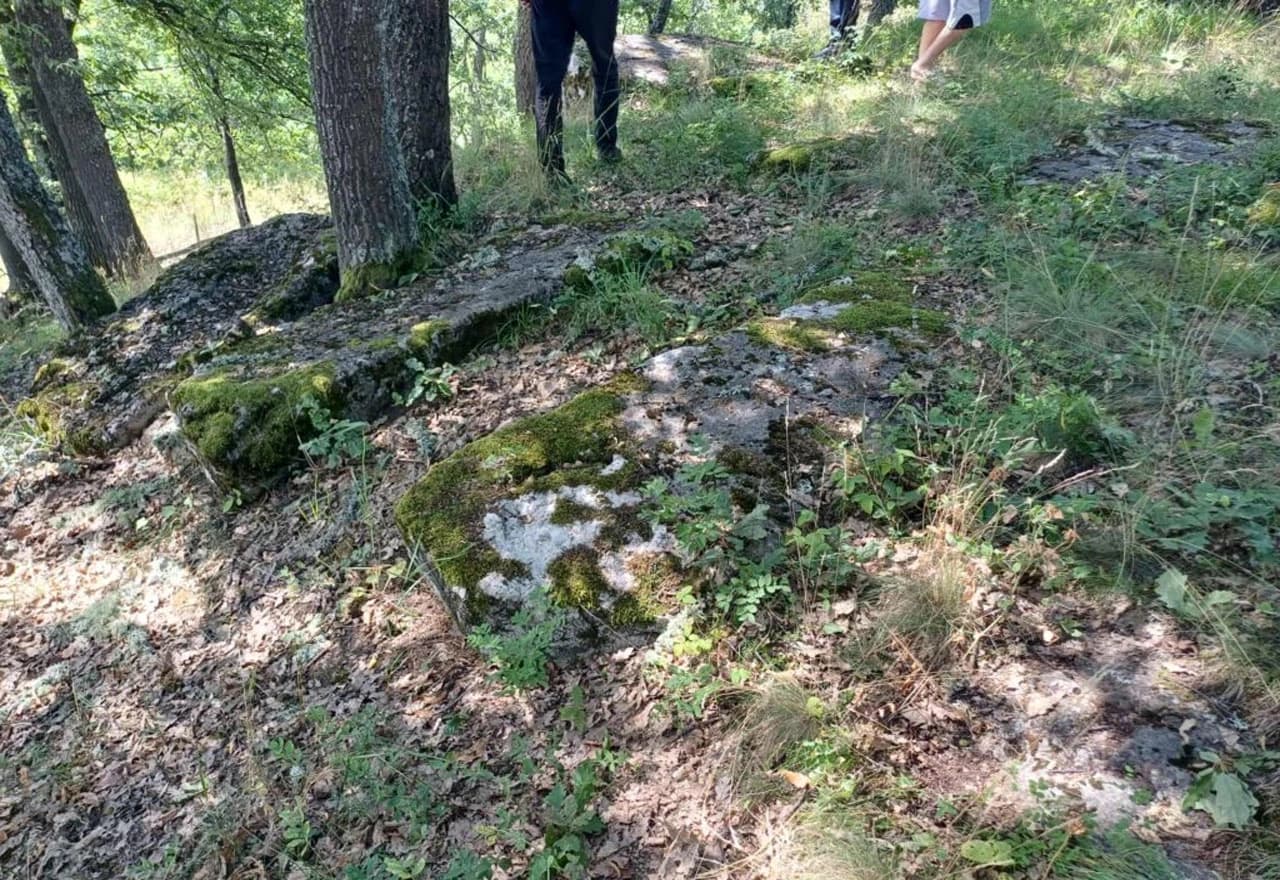 Novo otkriće u Borovskom: Nekropola stećaka Prljuge
