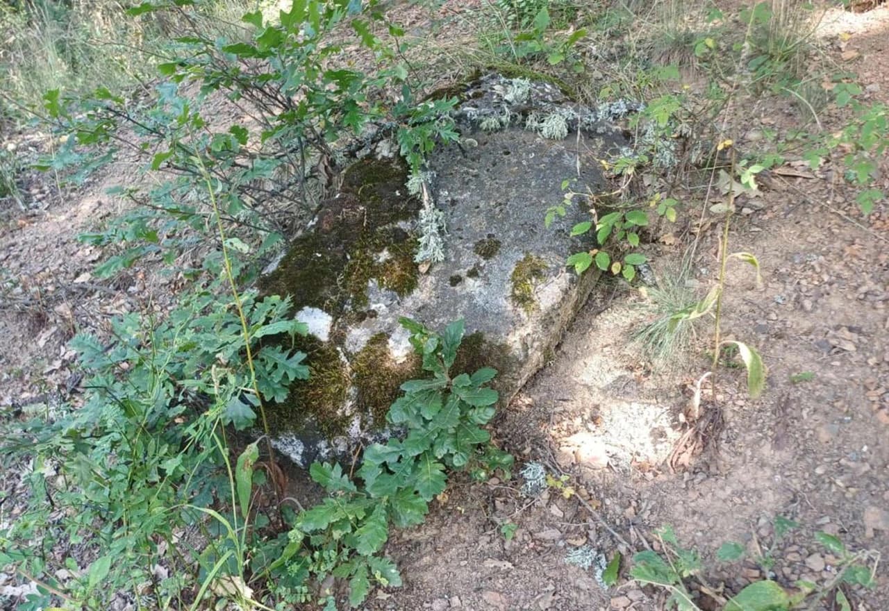 Novo otkriće u Borovskom: Nekropola stećaka Prljuge