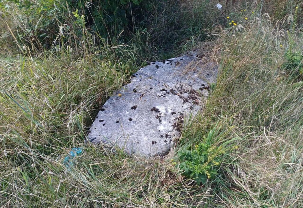 Većina stećaka je potonula u zemlju i prekrivena vegetacijom