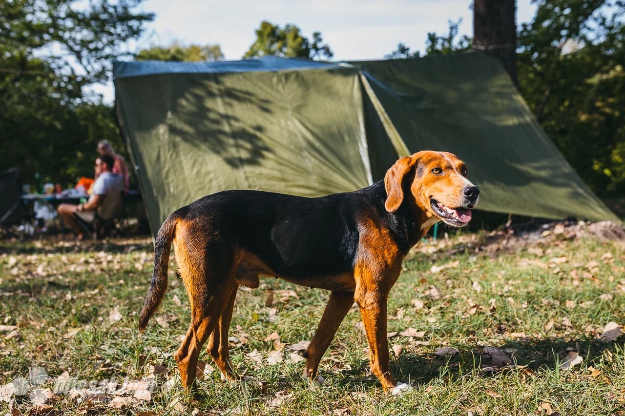 Treći međunarodni skup kampera