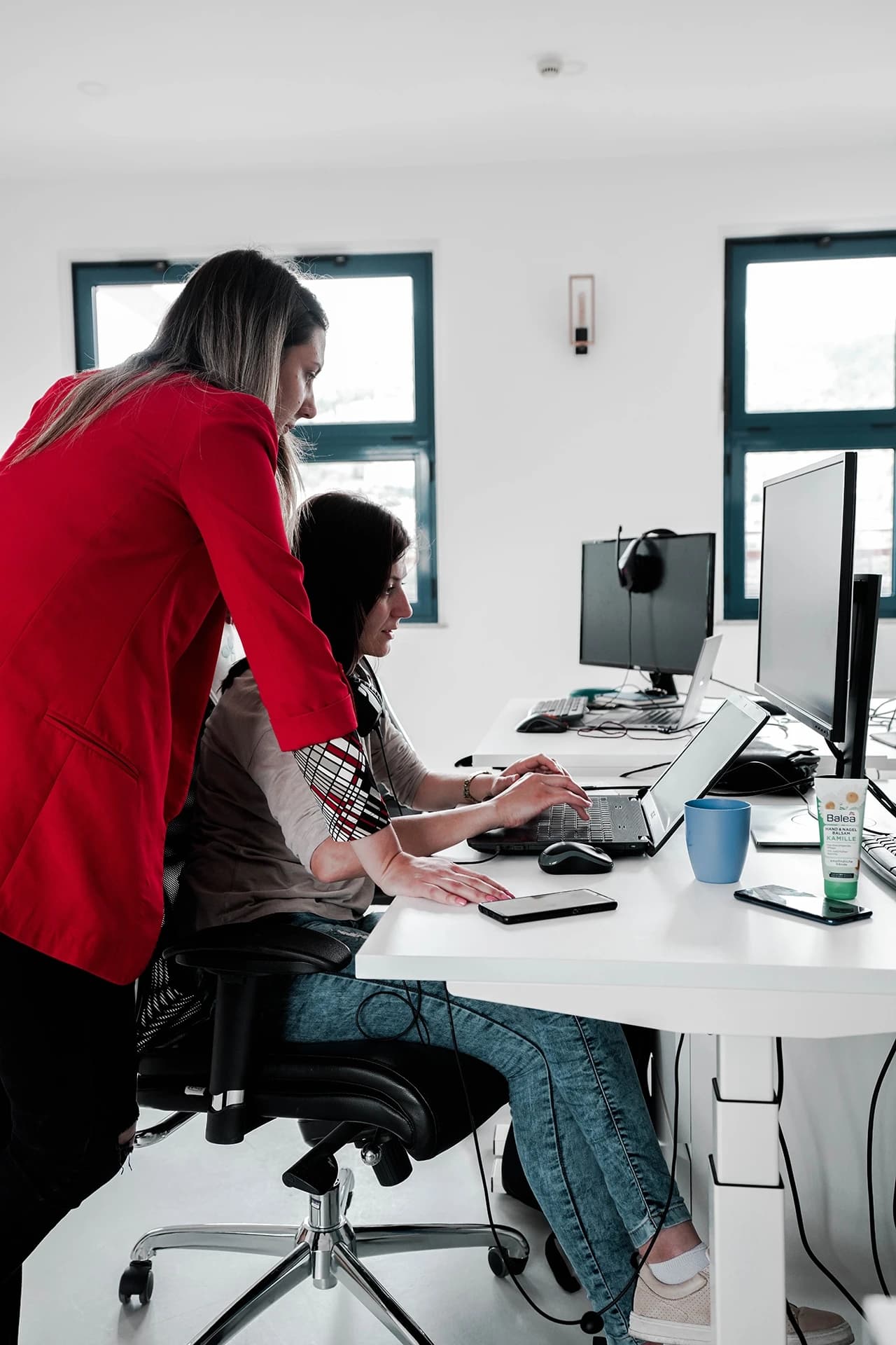 Domaćim stručnjacima znanja ne nedostaje