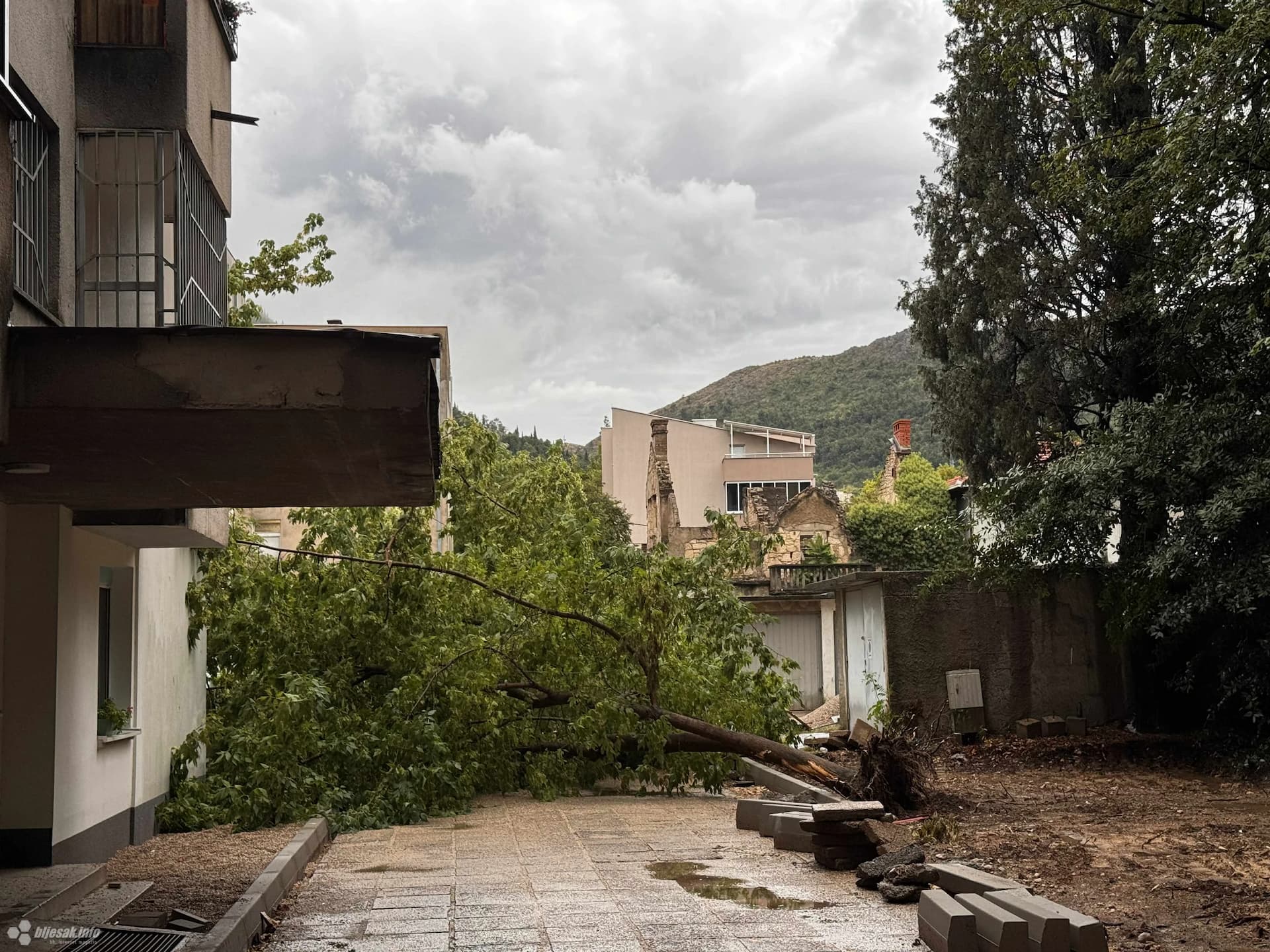 Loše vrijeme srušilo stablo