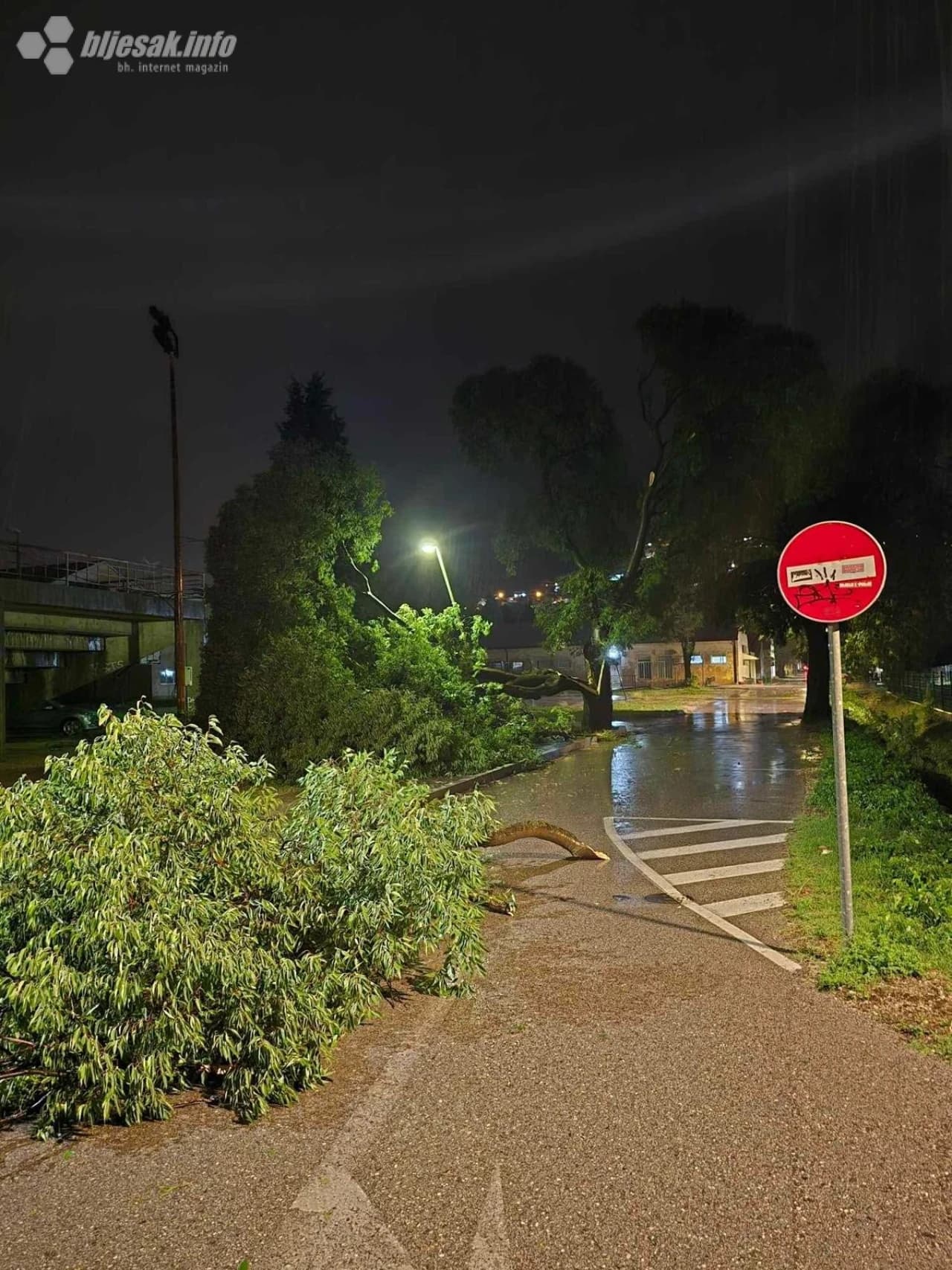 Srušena stabla u Sjevernom logoru