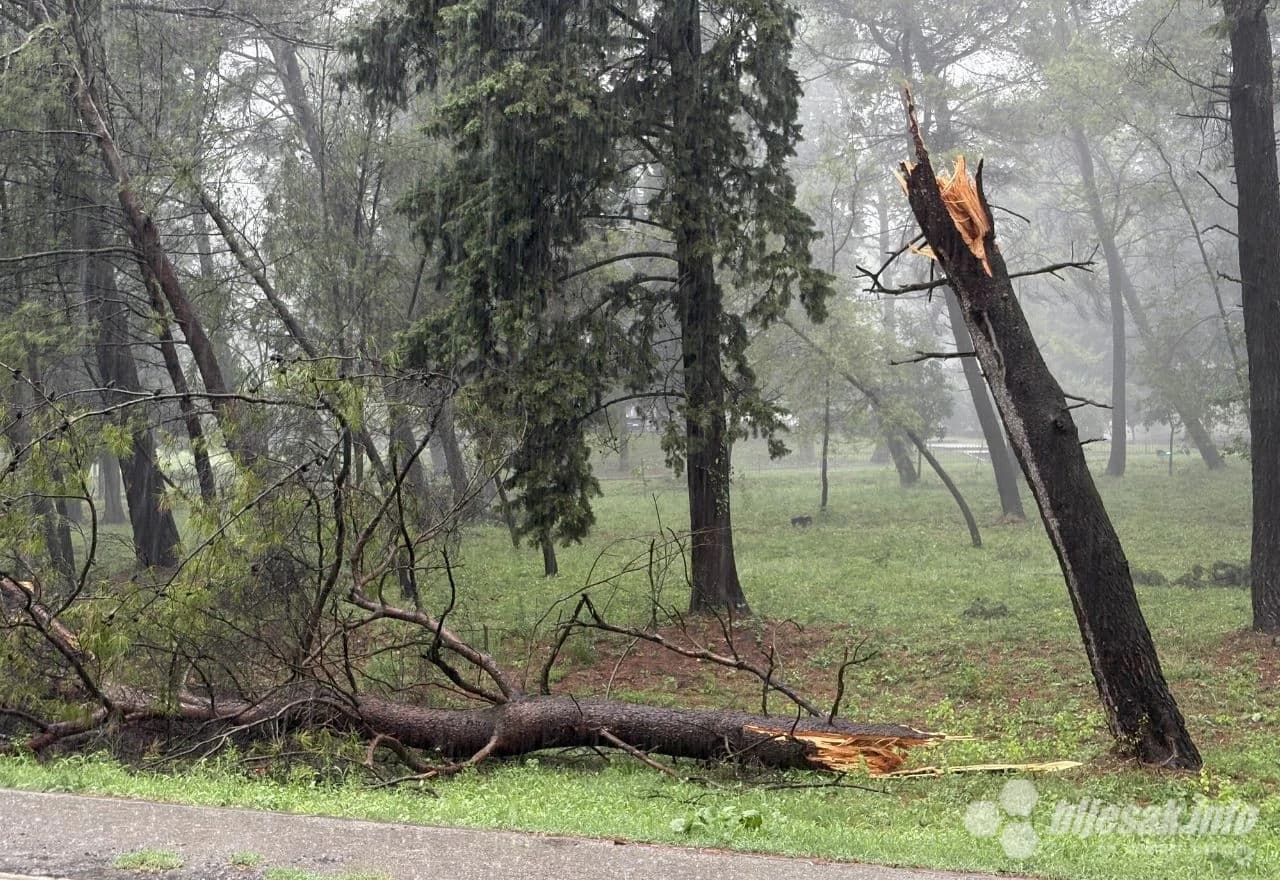 Gorske službe spašavanja u suradnji s vatrogascima