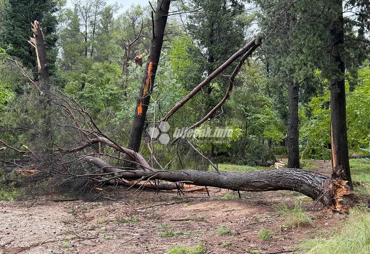 Nakon orkanskog vjetra i kiše u Mostaru