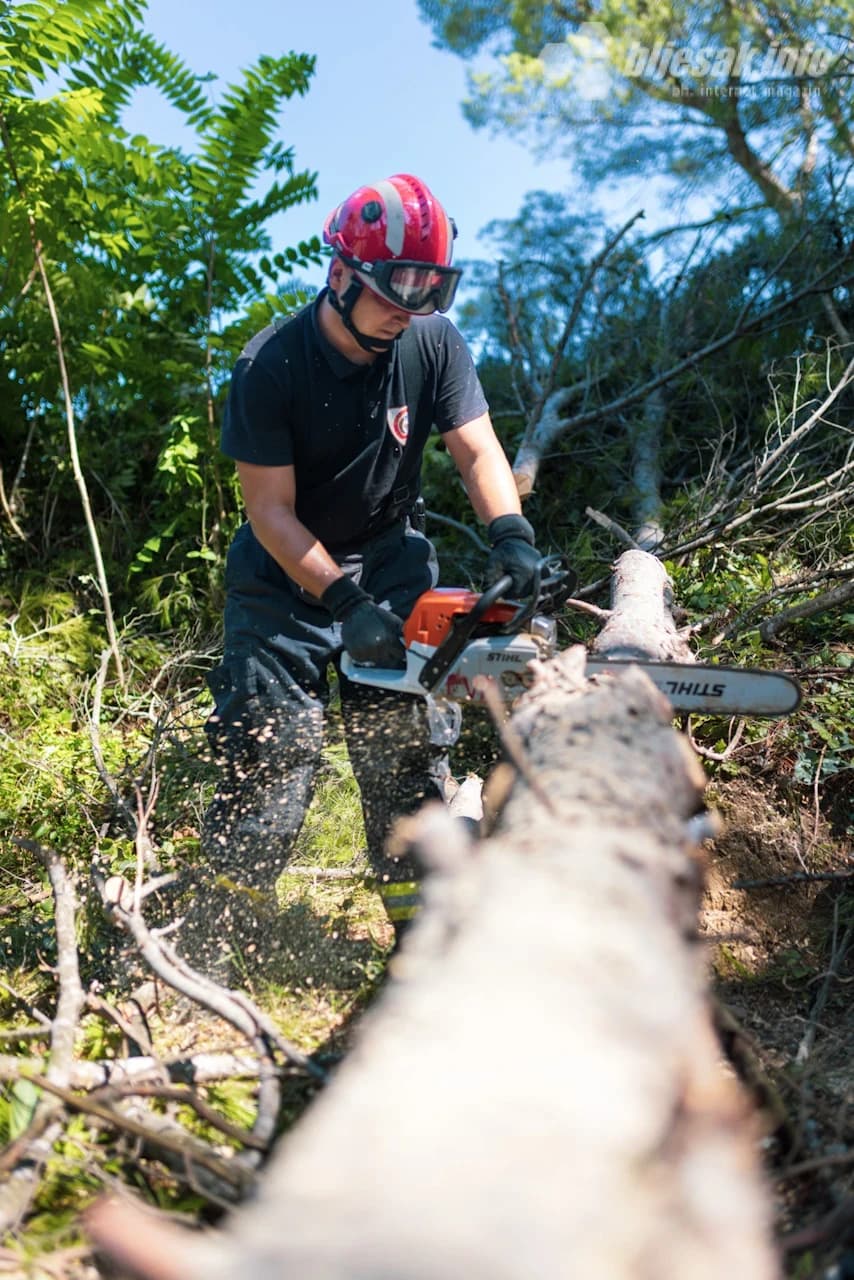 Vatrogasac reže stablo