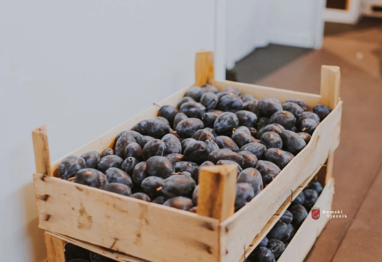 Dani šljive u Prozoru: Sajam spojio tradiciju, poljoprivredu i turizam