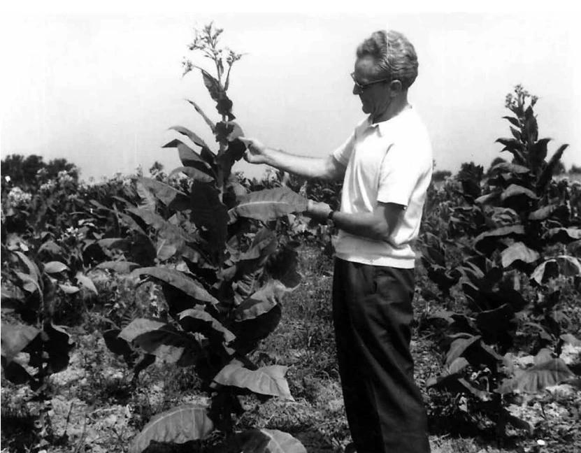 Sorta Stolac 17 u Posavini