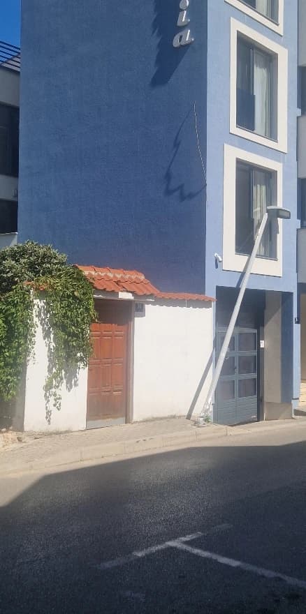 Problematična bandera