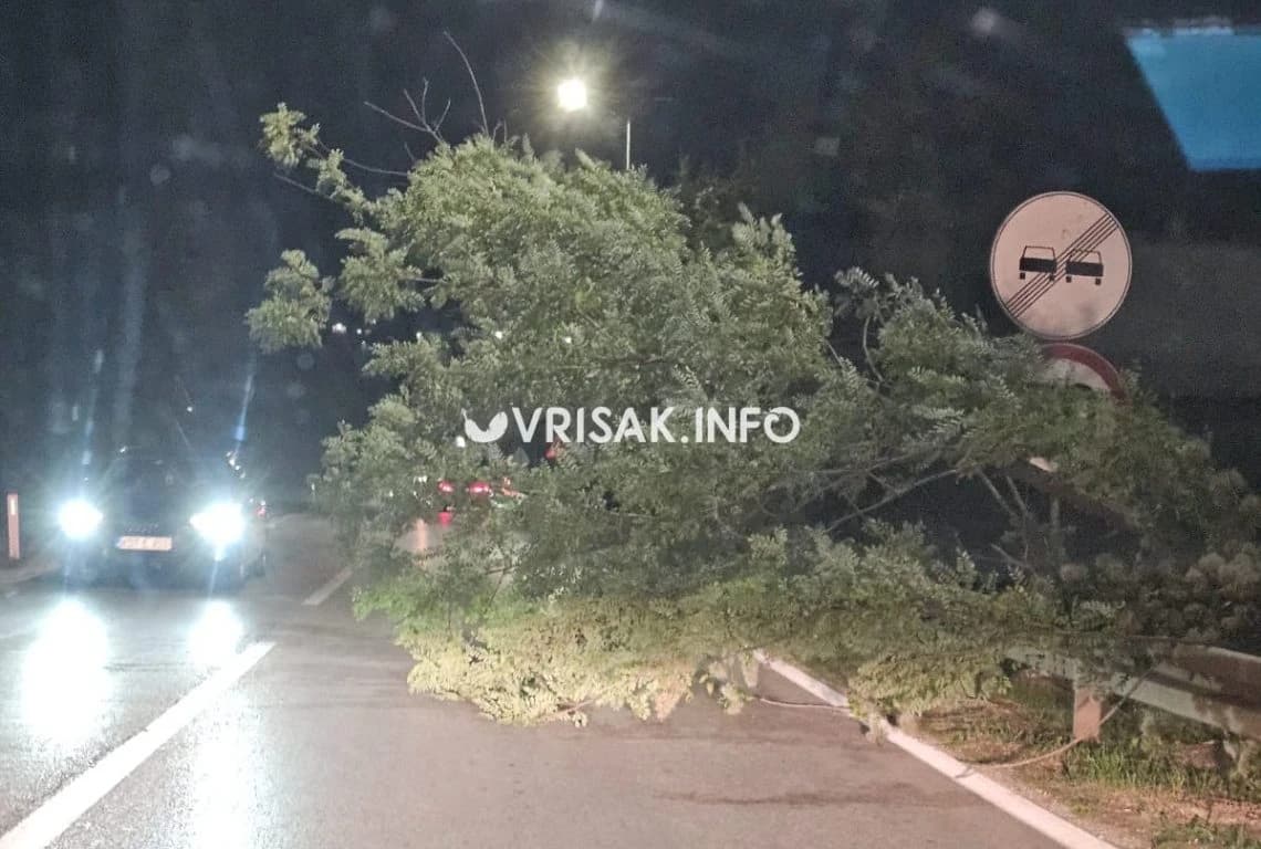 Stablo na cesti u Širokom Brijegu