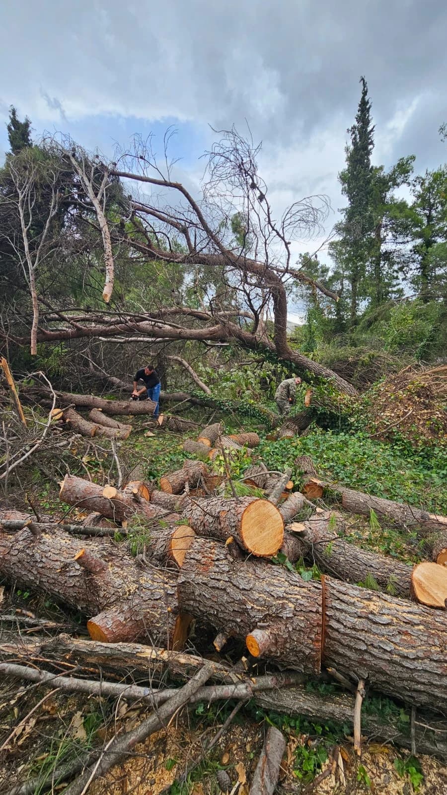 Oružane snage BiH pomažu Mostaru u sanaciji nakon nevremena