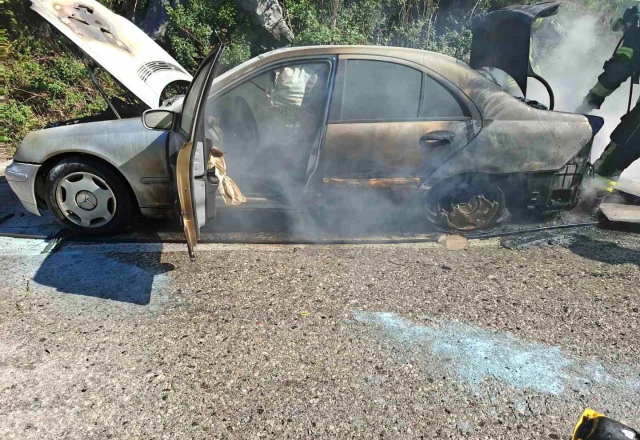 Vatrogasci gase vozilo koje se zapalilo na cesti