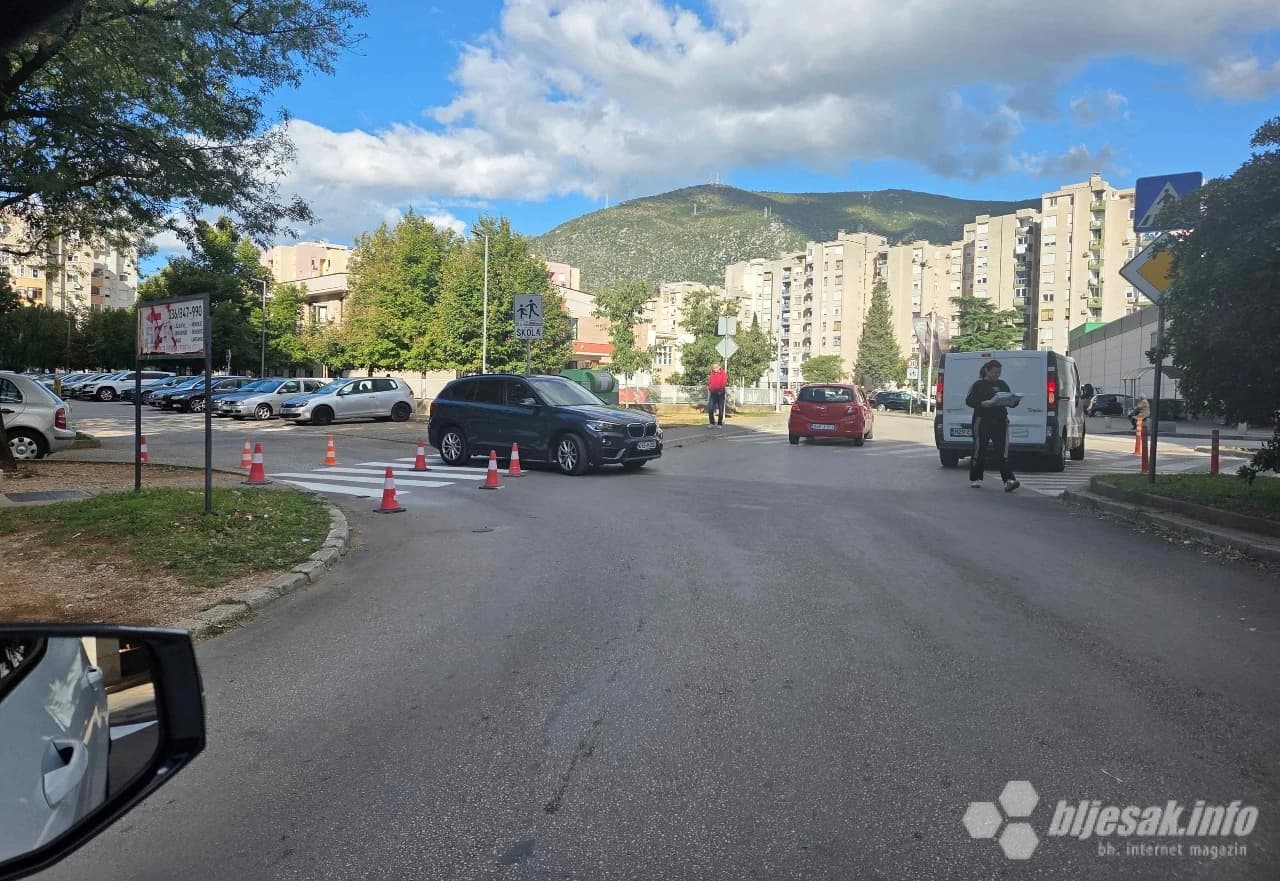 Obnavljanje zebri u Centru 2