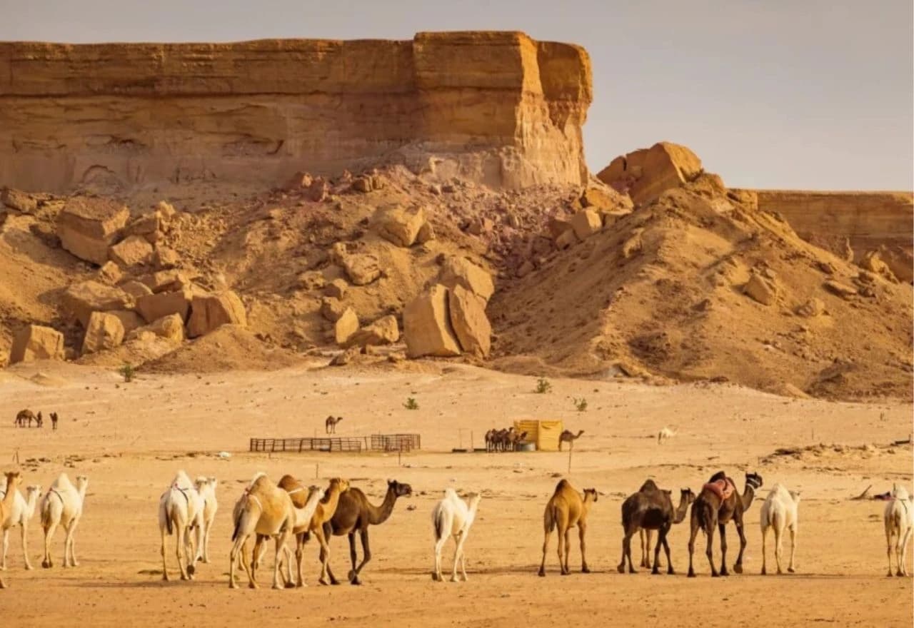 Pustinja u Saudijskoj Arabiji