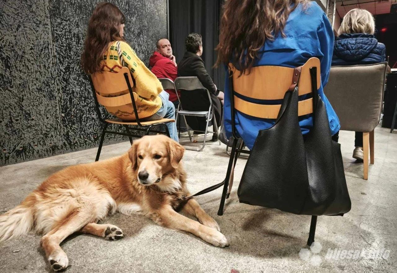 Promocija knjige Marka Tomaša