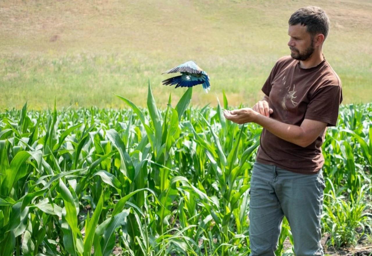 BiH započela projekt obnove izumrle ptice