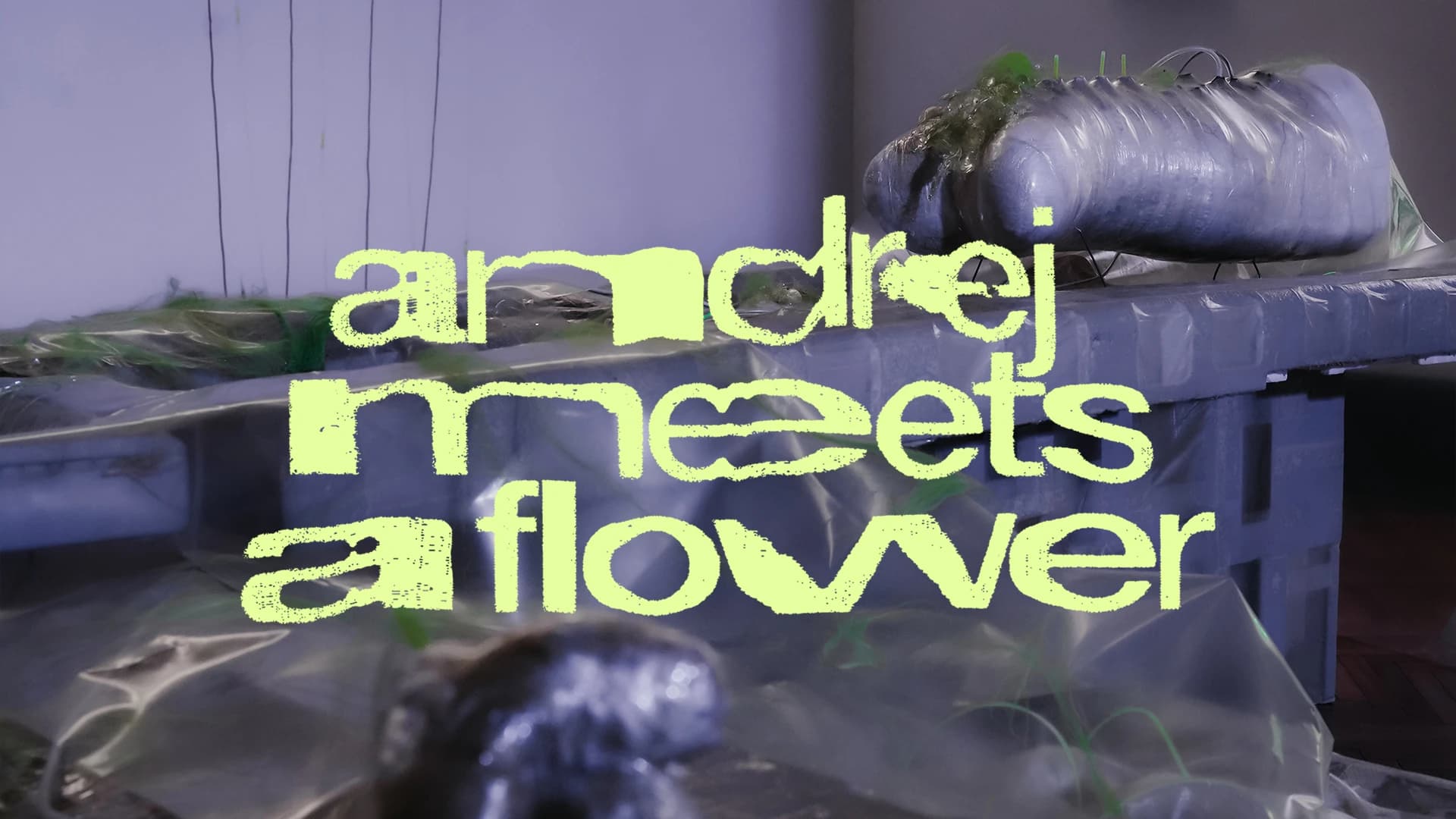 Film prati nastanak djela bh. umjetnika Amela Hodžića