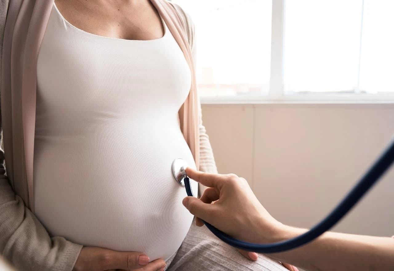 Pregled ploda / Ilustracija