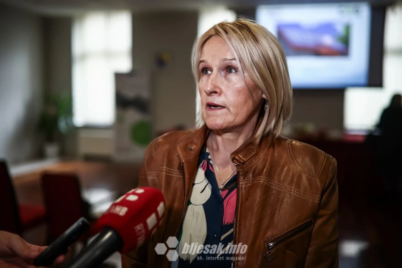 Direktorica Centra za ekologiju i energiju Džemila Agić