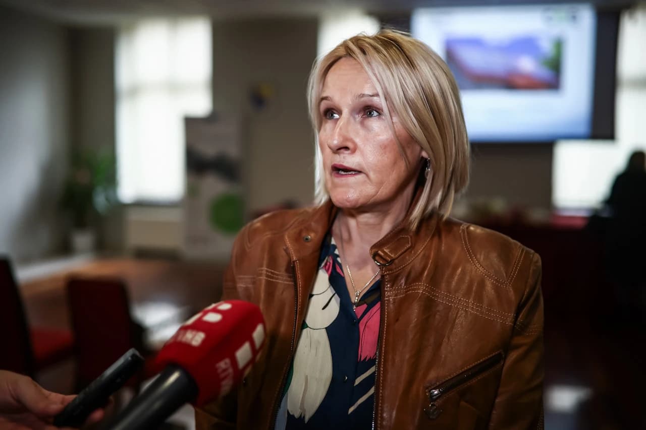Direktorica Centra za ekologiju i energiju Džemila Agić