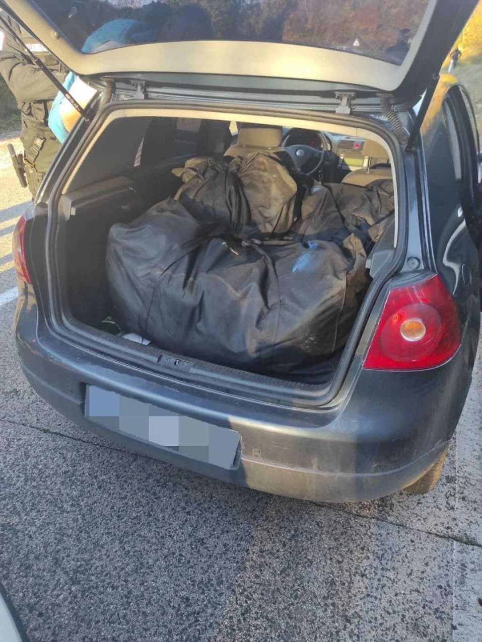 Pronađena veća količina skunka