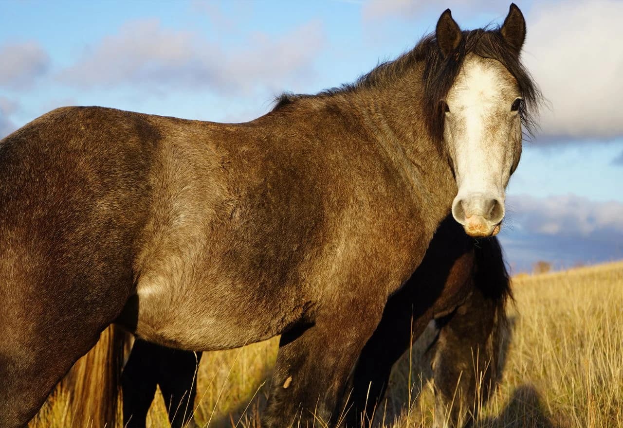 Zajednički koraci prema proglašenju zaštićenih zona na Kupresu