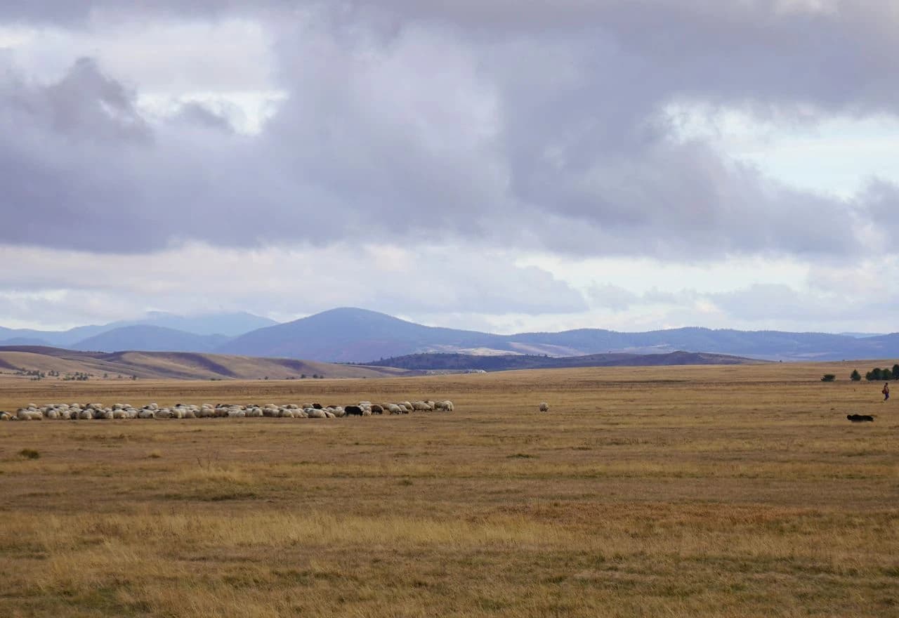 Zajednički koraci prema proglašenju zaštićenih zona na Kupresu