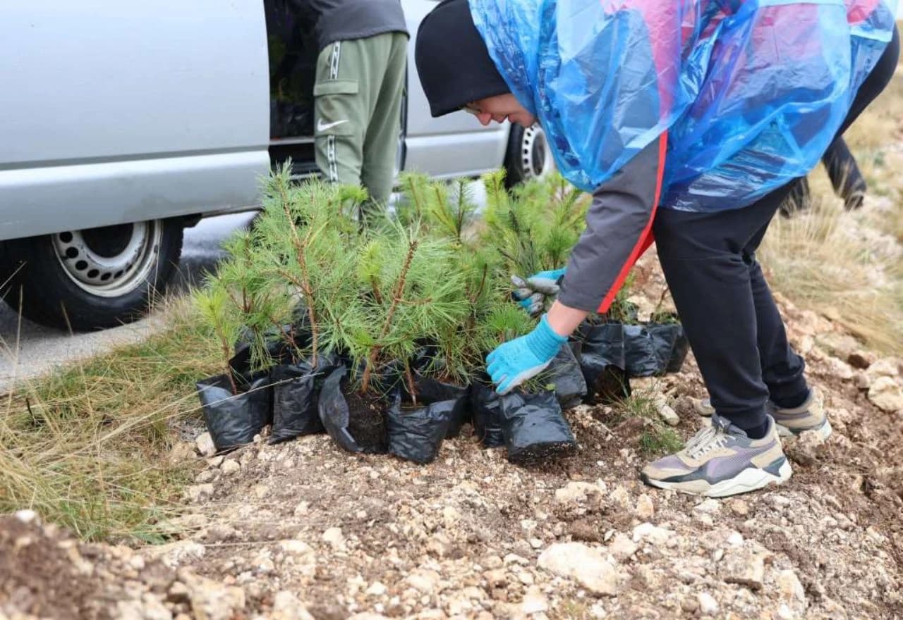 Akcija pošumljavanja na Fortici